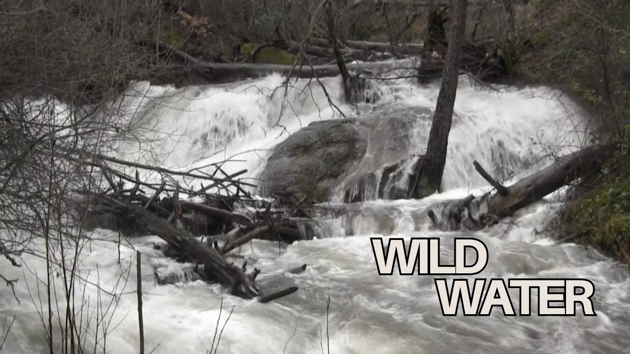 🌊 Strong Waterfall & River Sound – 90 Minutes Natural White Noise | Deep Relaxation