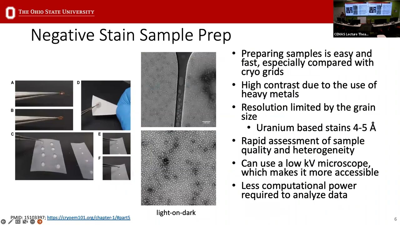 Using cryoSPARC (v4) to Analyze Negative Stain Data