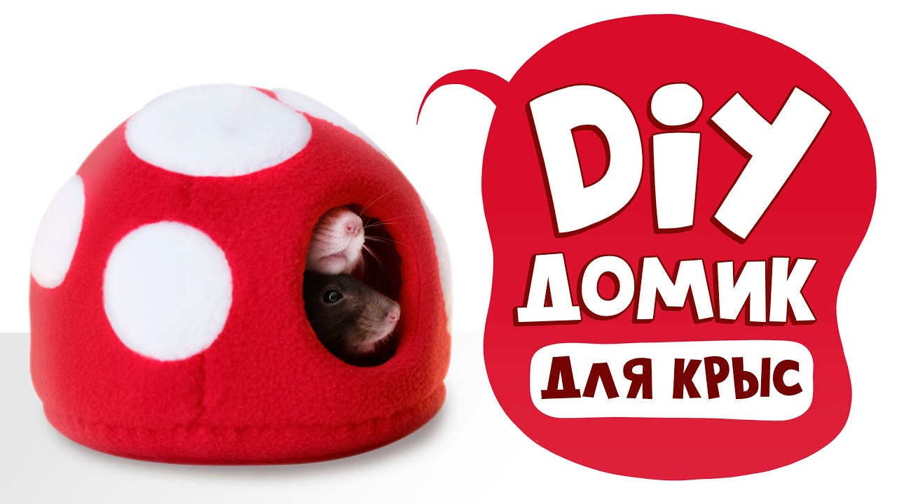 DIY: Мягкий домик-мухомор для грызунов своими руками