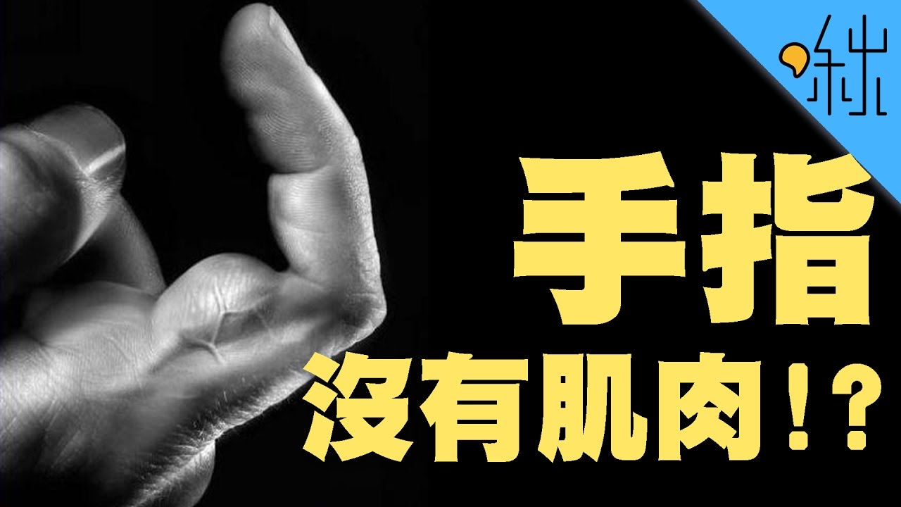 手指其實沒有肌肉!? | 超邊緣冷知識 第11集 | 啾啾鞋
