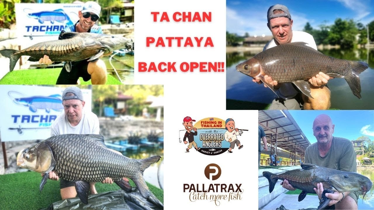 The Overrated Anglers - Fishing in Thailand - Ta Chan in Pattaya is back open, first trip back!!