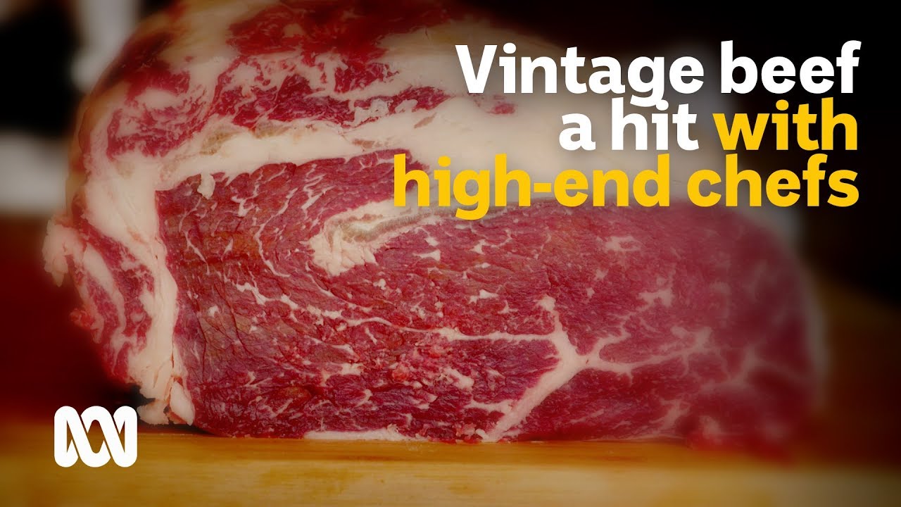 Dry-aged beef from 12-year-old cows a tender hit with high-end chefs | Landline | ABC Australia