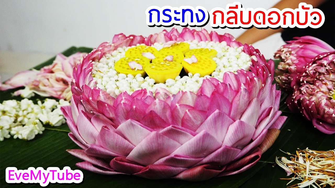 สอนทำกระทง กลีบดอกบัว►อีฟ ►Eve My Tube