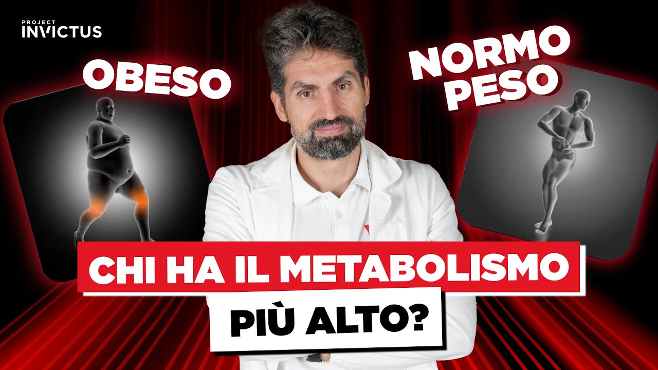 Ha il METABOLISMO PIÙ ALTO una persona obesa o normopeso?