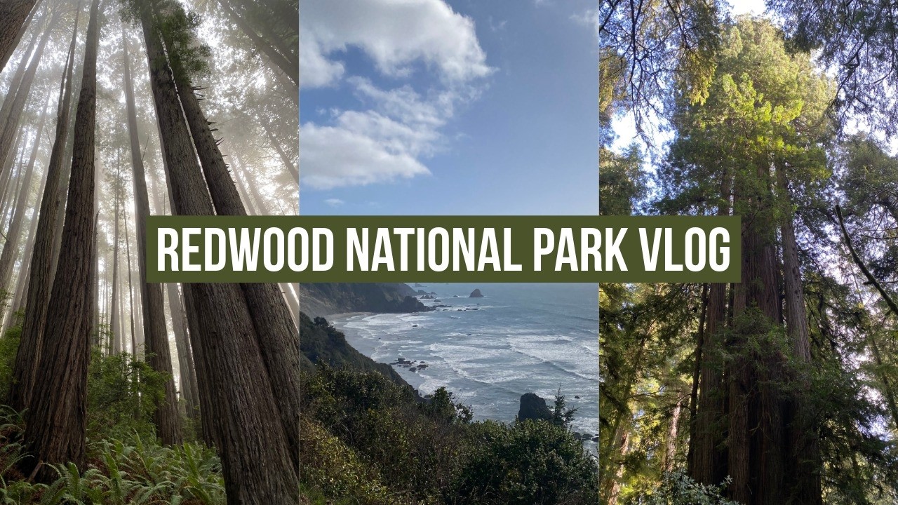 Redwood National & State Park Travel Vlog