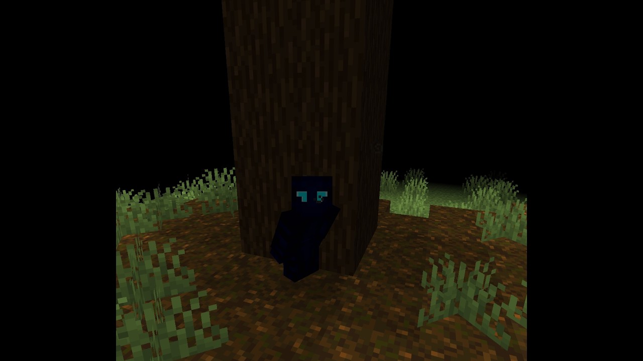I got captured on the Temu Unstable SMP