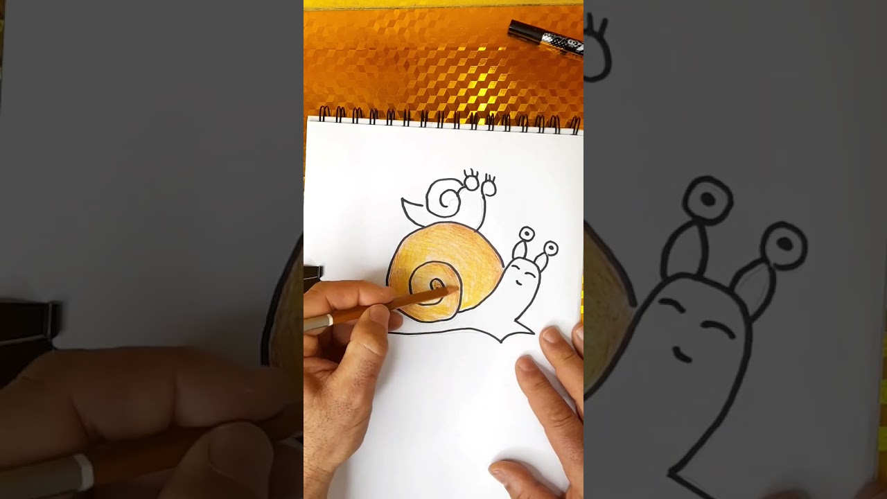 تعلم رسم حلزون  سهلة ✨️🌙🇩🇿🌷