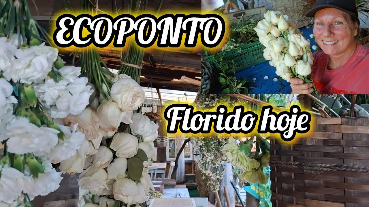 ECOPONTO CHEIO DE FLORES 