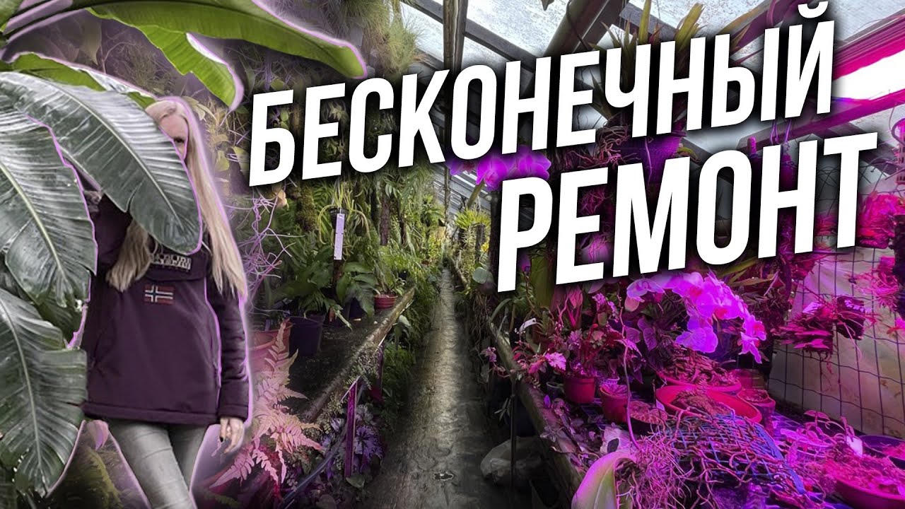 ВЕЧНАЯ РЕКОНСТРУКЦИЯ. Старая фондовая оранжерея Ботанического сада закрыта на ремонт. Мы пробрались!
