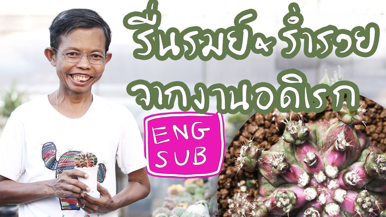 รื่นรมย์ และ ร่ำรวย จากงานอดิเรก 