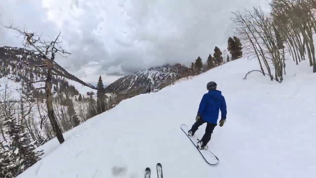 Snowbird Day One