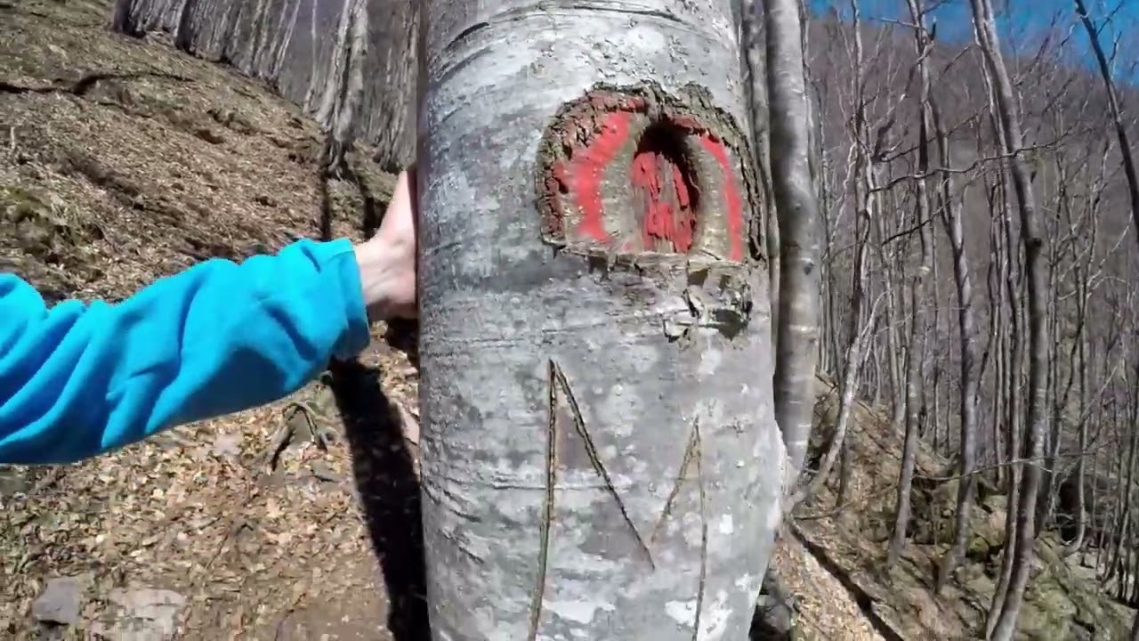 rifugio pian de fontana