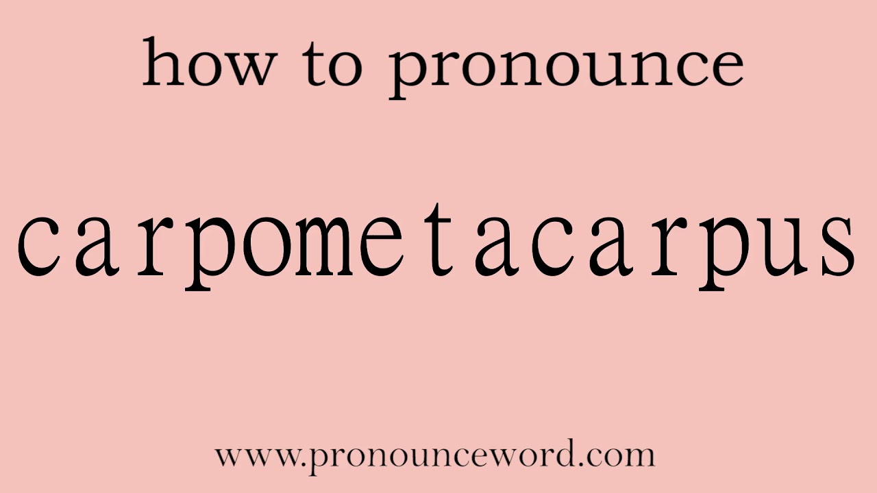 carpometacarpus. How to pronounce the english word carpometacarpus .Start with C. Learn from me.