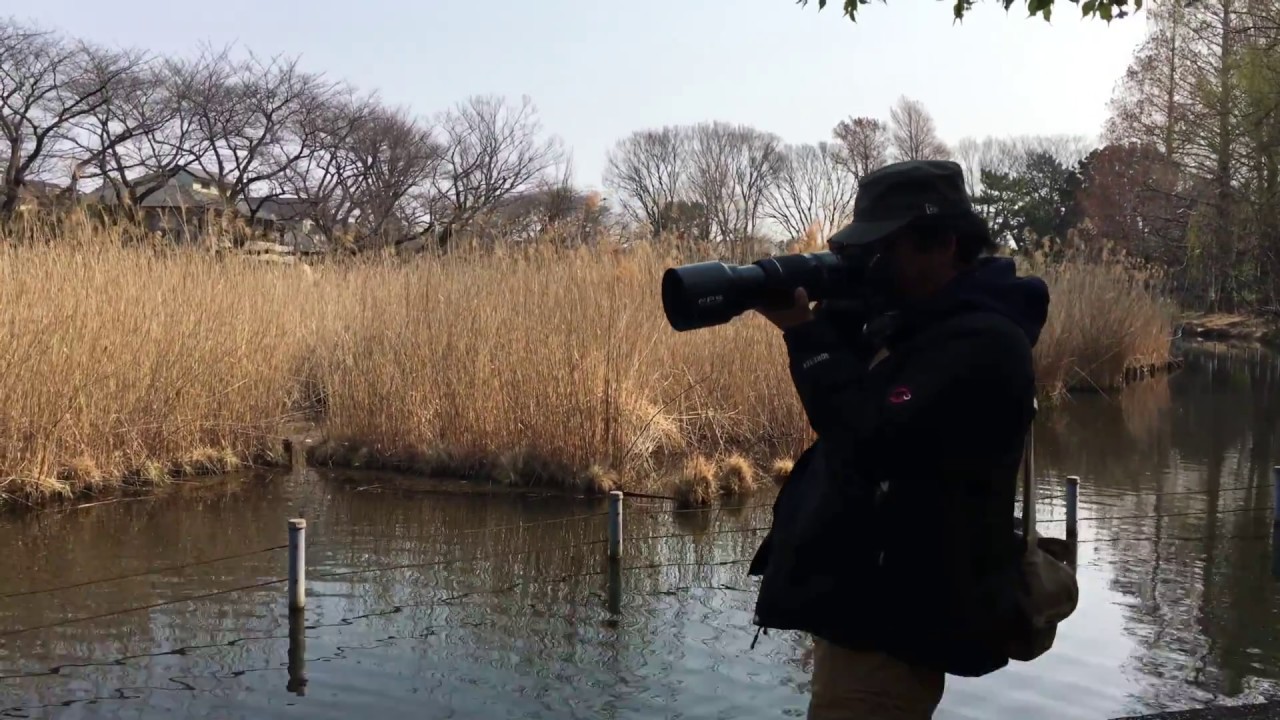 写真屋放言#21 いつものように野鳥撮影