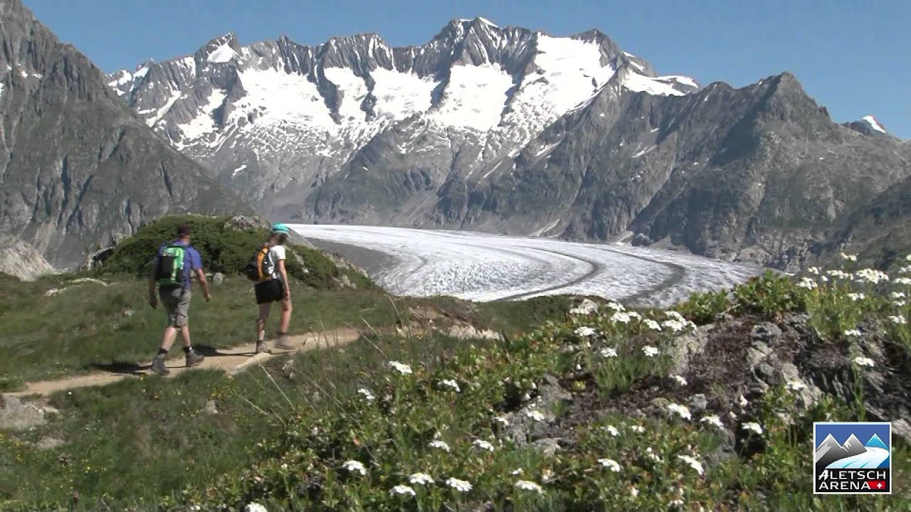 Aletsch Arena Aussichtspunkt Moosfluh