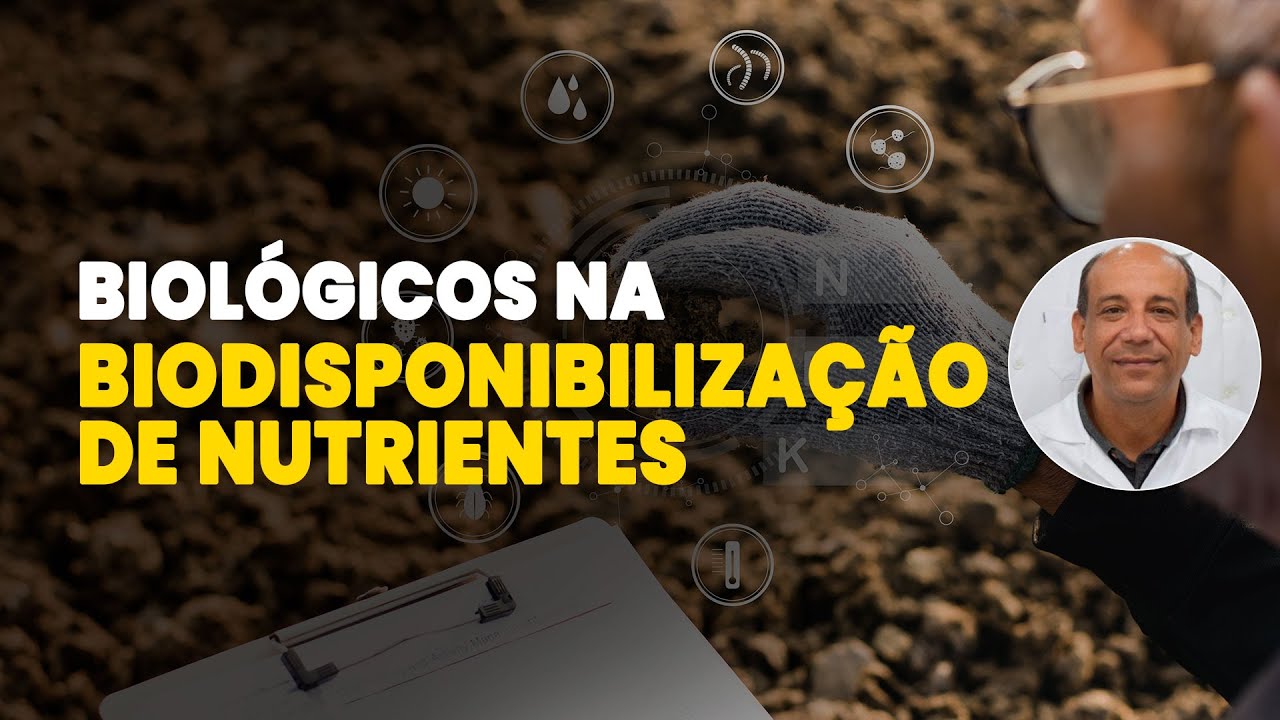 Como Melhorar a Biodisponibilidade de Nutrientes no Solo e Turbinar a Produção!