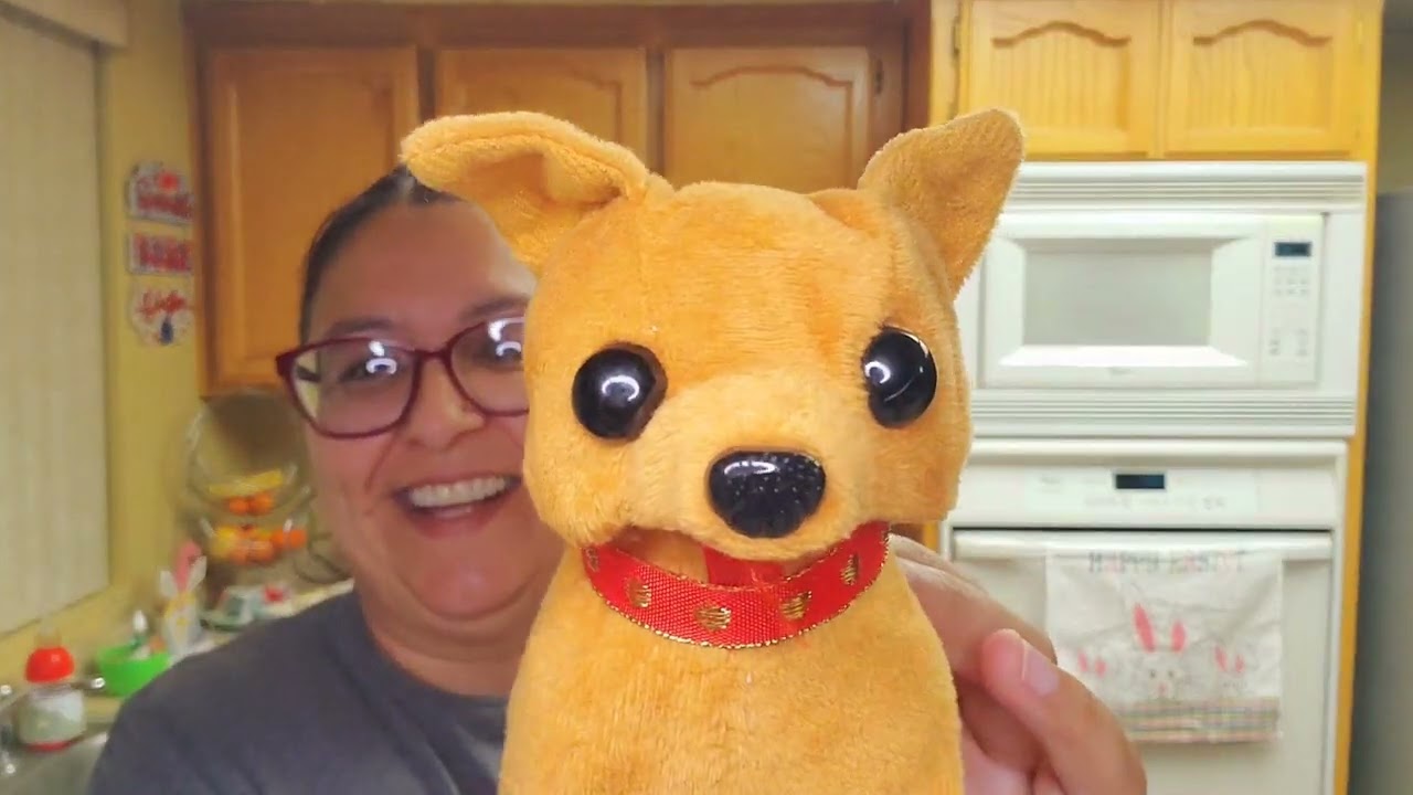 Madera Flea Market Swap Meet Haul - Check Out What I Picked Up