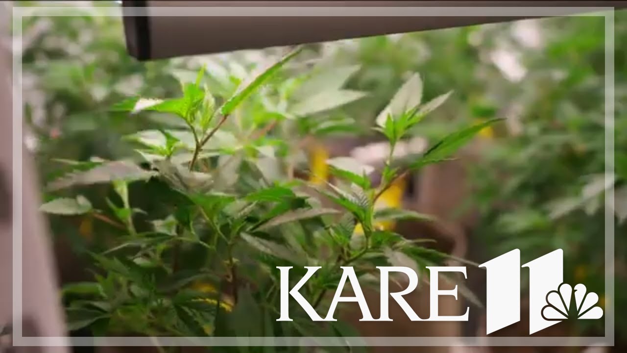 Inside look at new cannabis campus hear Hastings Minnesota
