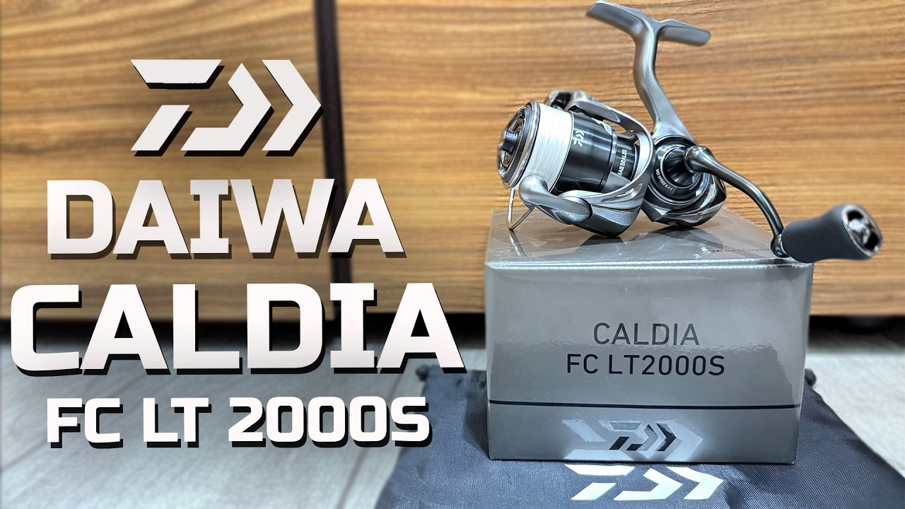 Daiwa Caldia 25 FC LT 2000S Распаковка, Обзор, Тюнинг.