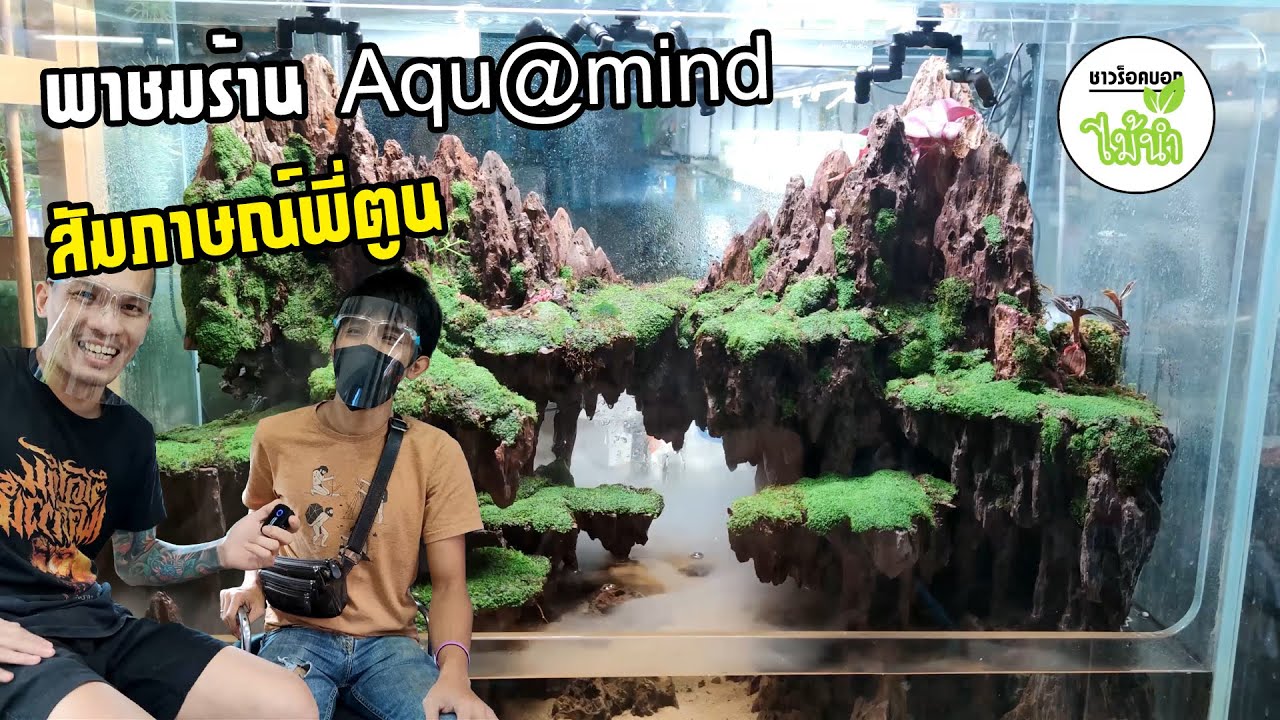 พาชมร้านไม้น้ำ ร้าน AquaMind (Aqu@mind) ตลาดปลาจตุจักร พร้อมบทสัมภาษณ์พี่ตูน | ชาวร็อคบอกไม้น้ำ