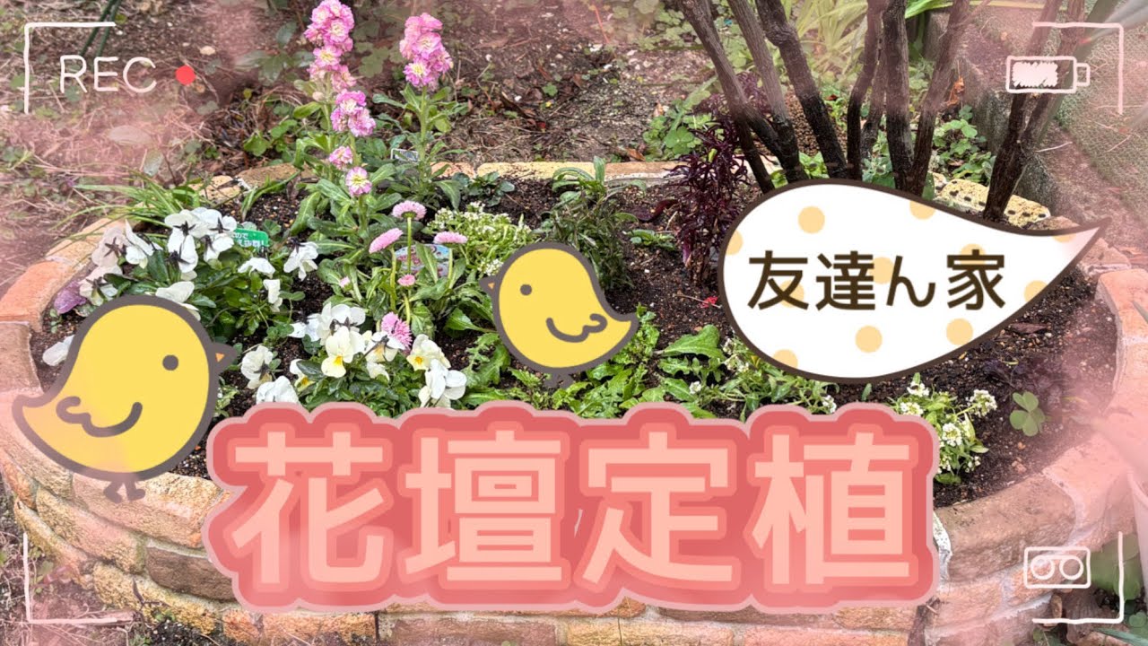 友達ん家花壇定植