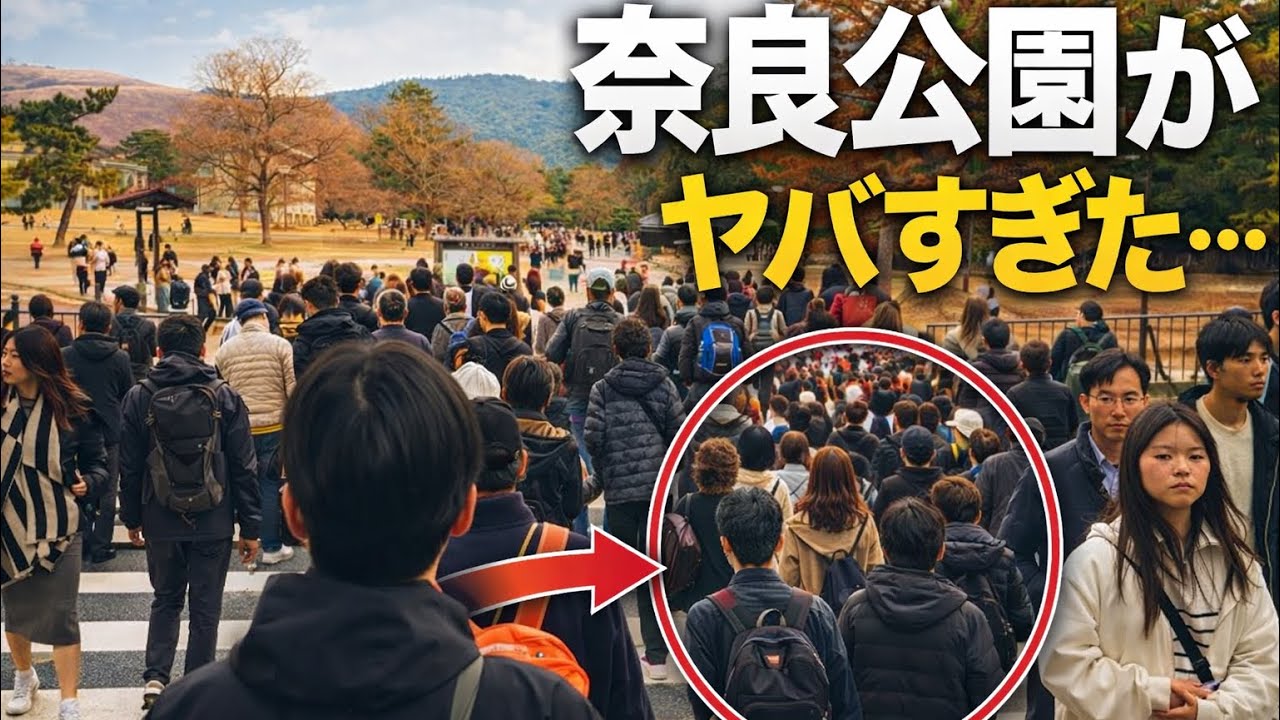 奈良公園がヤバすぎた…😳｜日本の日常が想像以上