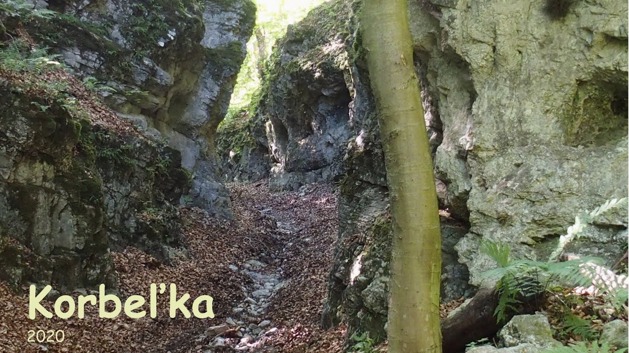 Bludárium – Veľká Fatra (Korbeľka)