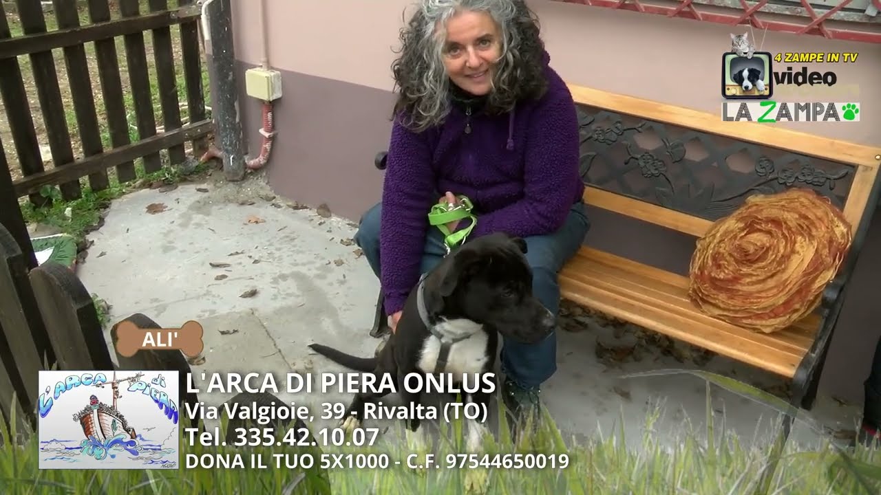 L'ARCA DI PIERA (65) Puntata 1557