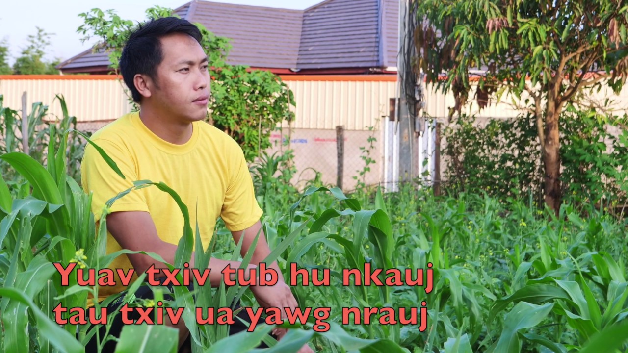 yuav txiv tub hu nkauj tau txiv ua yawg nrauj 7/03/2020