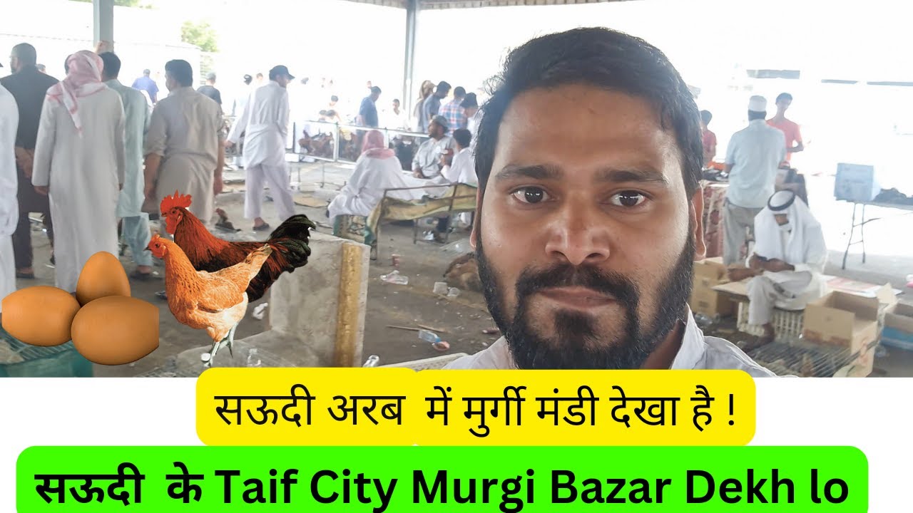 सऊदी के मुर्गी मंडी देखे हो ? Birds Market |Murgi Bazaar | Murgi Mandi  Taif City Saudi Arabia Vlog