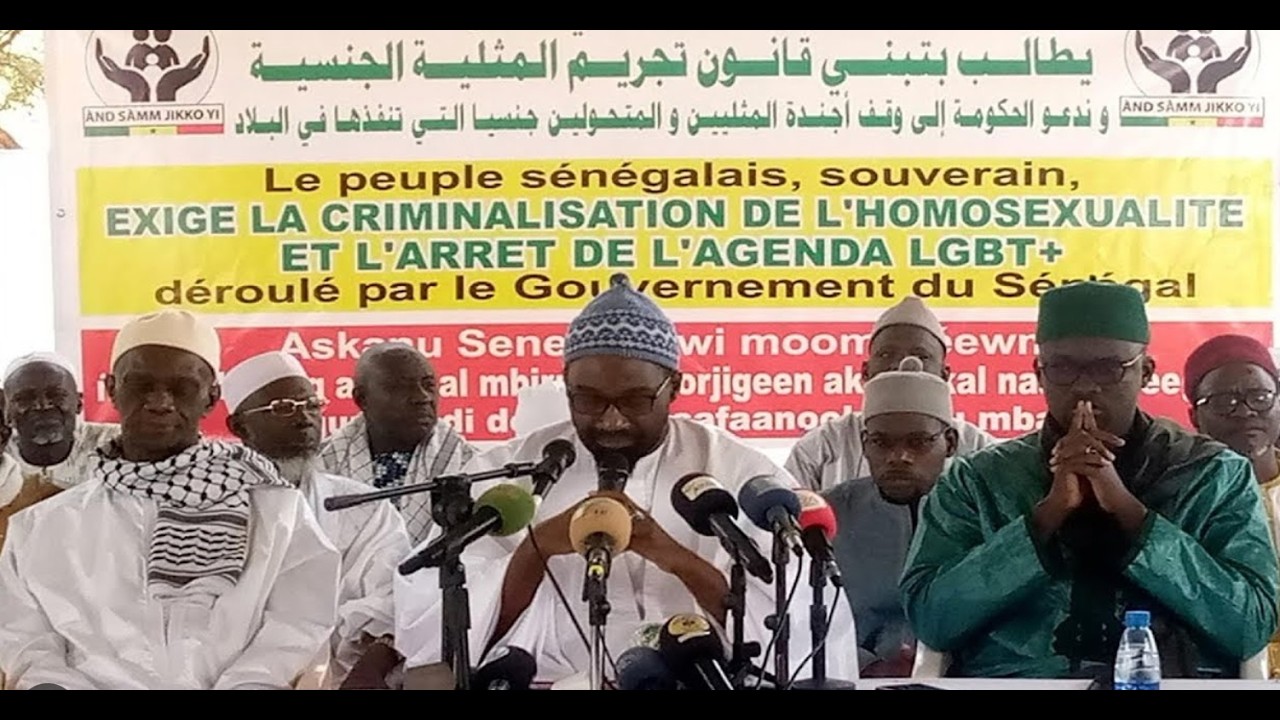 🔴 URGENT 🔴 Crise autour de Pape Cheikh Diallo & Cie : And Sam Jikko Yi s’exprime enfin