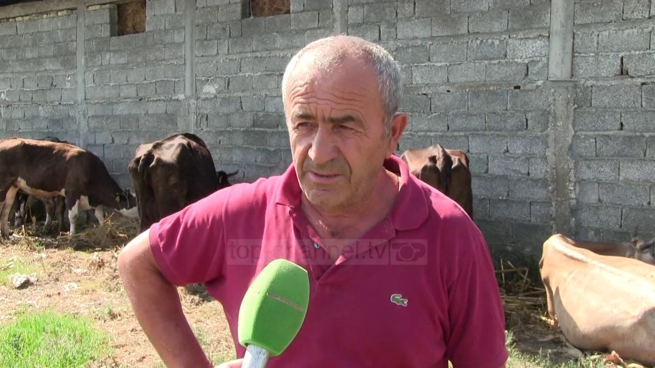 Vjosa lë tokat djerrë  - Top Channel Albania - News - Lajme