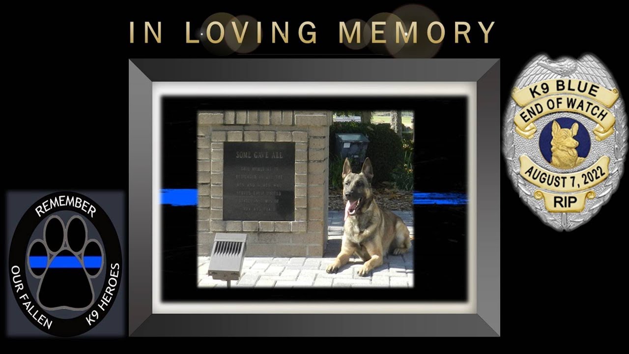 Memorial Service for Niceville Police K9 Officer Blue - August 26, 2022