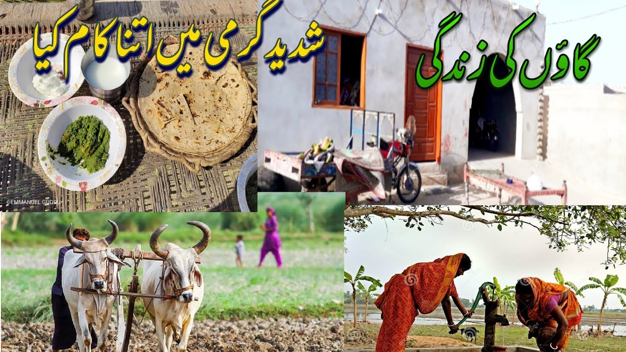 Gaon Ki Zindagi || Village Life || Shadeed Garmi m Kam kiya