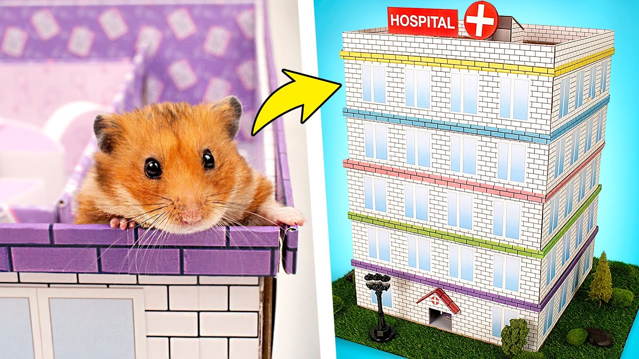 Un Ospedale Labirinto a Cinque Livelli per Criceti 🐹🏥❤️