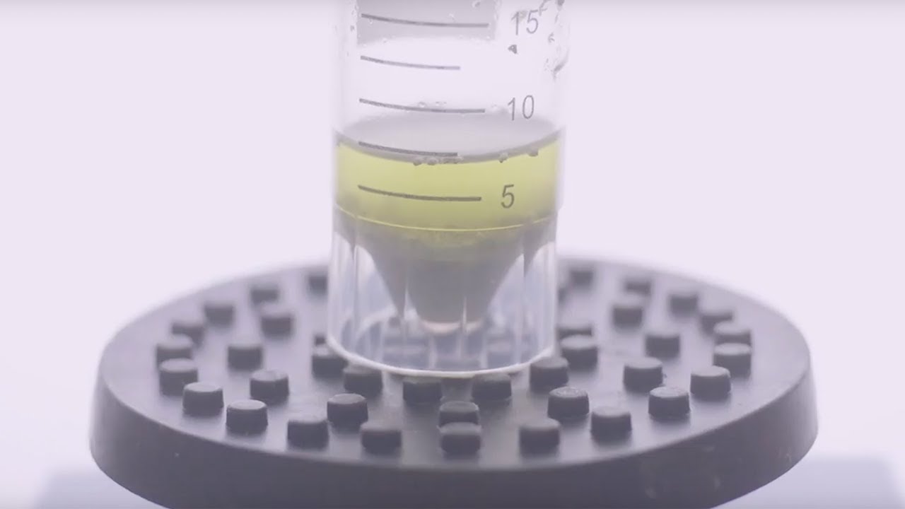 cannabisMD partners with Think20 Labs