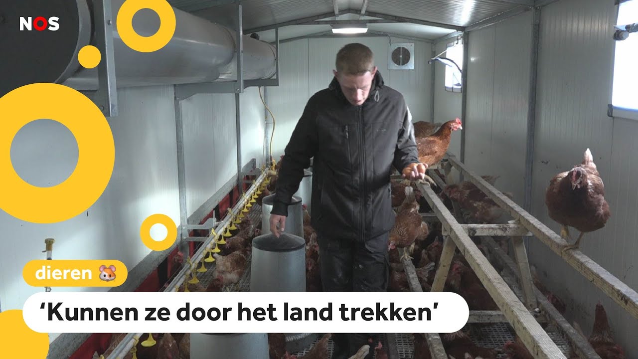 Boer Matthijs heeft een rijdende kippenstal