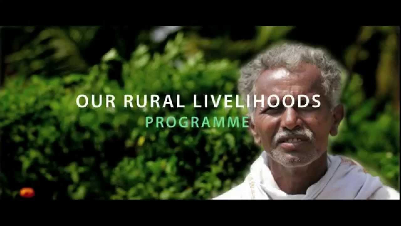 DRF- Rural Livelihood film (shorter version)