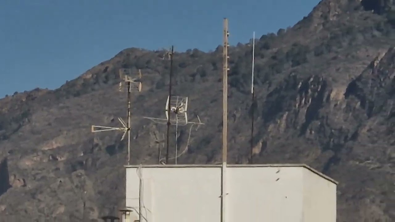 Repique de campanas Basilica de las Santas Justa y Rufina, Cruz de la Muela, Seminario Orihuela 2026
