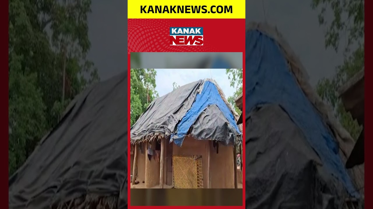 CM Orders Instant Help for 75-Year-Old Gauri Patra After Kanak News Report