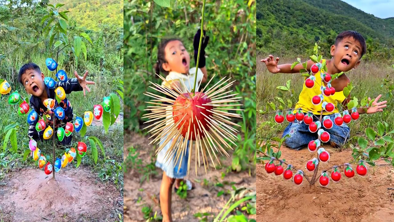 Survival Skills: SMART idea and USEFUL in Forest 