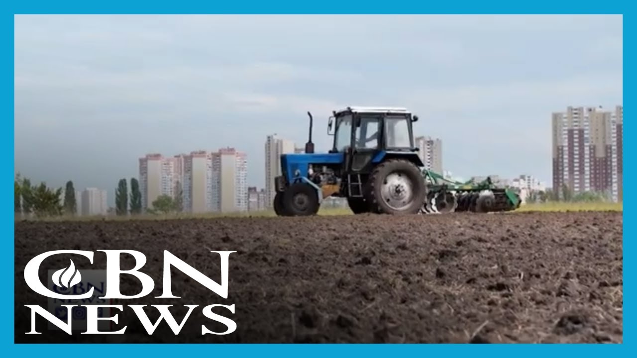 War in Ukraine Causes Ripple Effect That's Driving Up Hunger Across the Globe