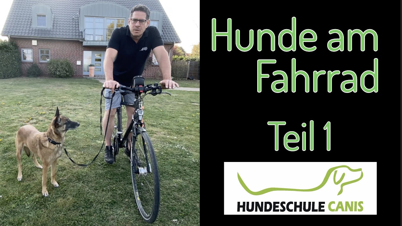 Hund am Fahrrad Teil 1- Gewöhnung und erste Schritte - Hundeschule Canis