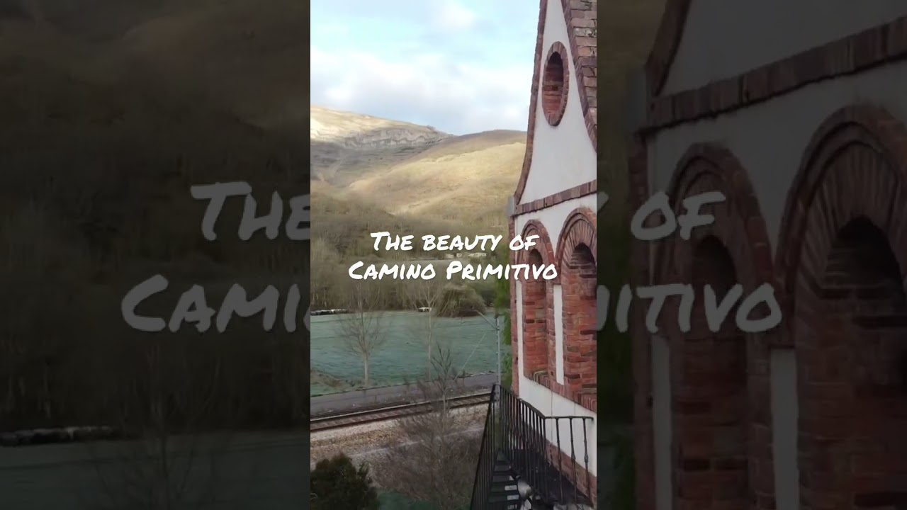 The beauty of Camino Primitivo #camino #caminodesantiago #caminoprimitivo #nature