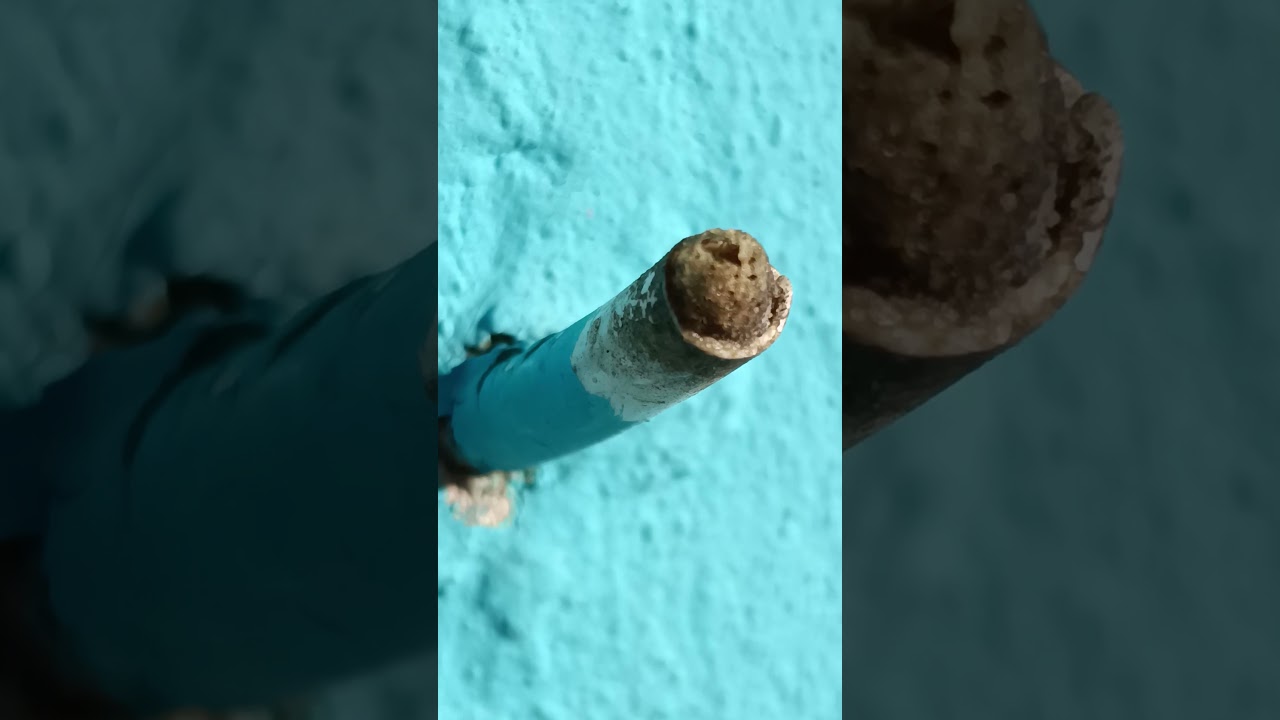 CONSEGUE IDENTIFICAR? 3 colmeias de abelha sem ferr&atilde;o que encontrei na rua