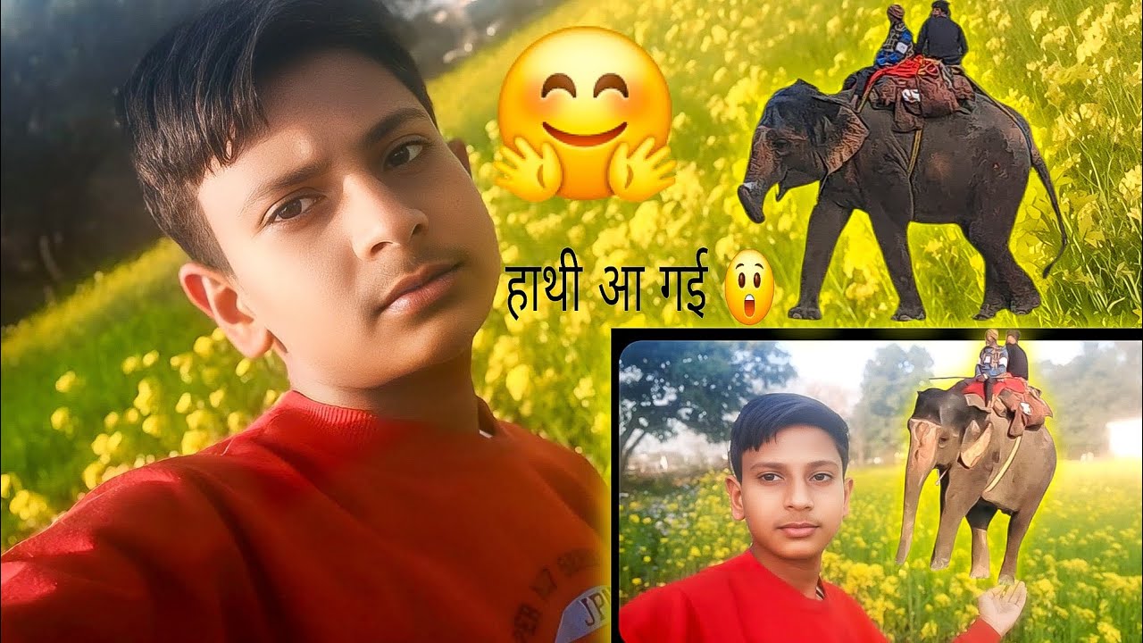 खेत में अचानक आ गया हाथी 😱🐘 | मज़ेदार और डरावना अनुभव#block#viral block#comedy #funny 