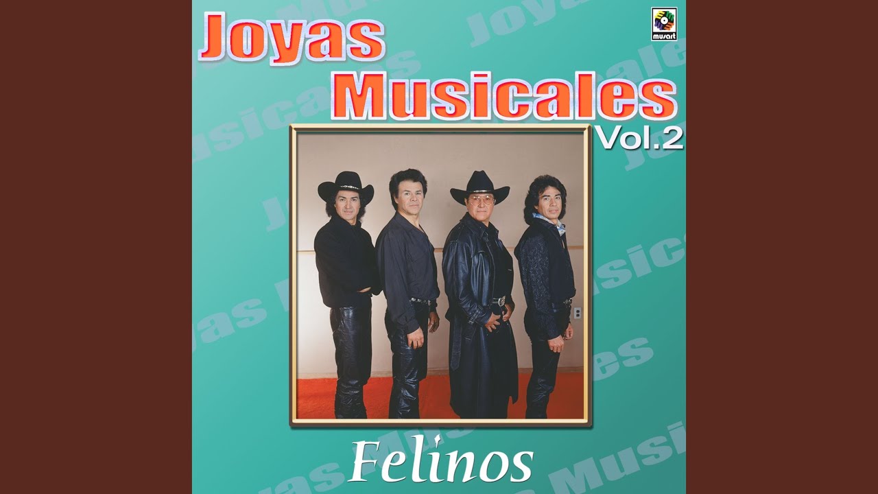 Voy A Empezar Llorando