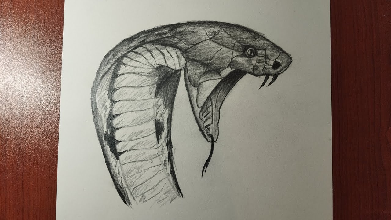 Yılan nasıl çizilir/İlan çəkmək/Drawing snakes
