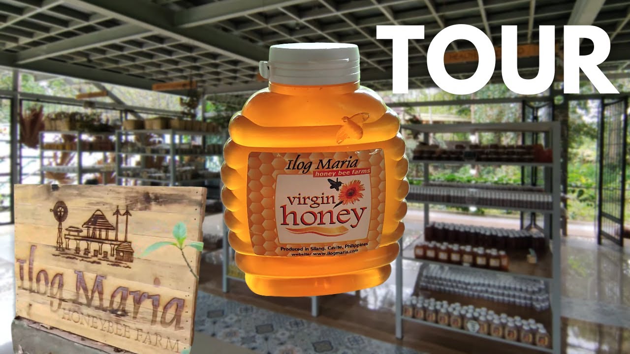 ILOG MARIA HONEYBEE FARM TOUR and PRICES 2023!