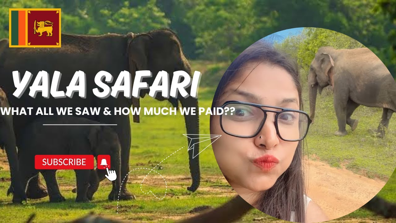 Yala National Park Safari 4k | 🇱🇰 SriLanka | chasing elephants and leopards 🐆 🐘🐾